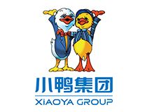 探寻PG娱乐的乐趣与精彩
